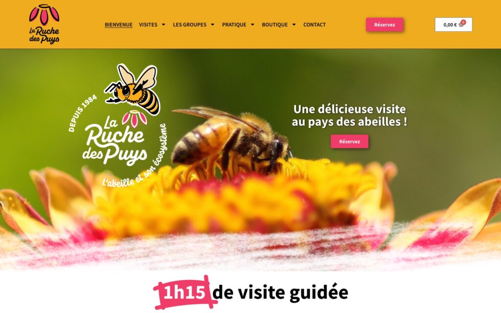 Page d'accueil du site de La Ruche des Puys réalisé par Publipost