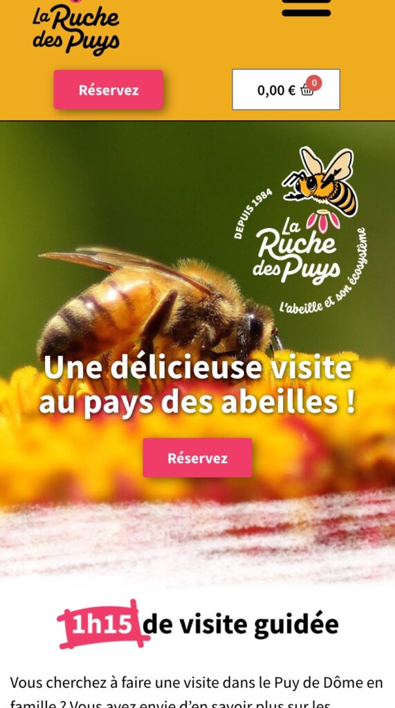 Site de La Ruche des Puys affiché sur mobile